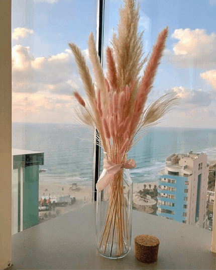 סט נסיכותי