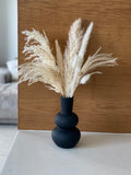 סט רוי