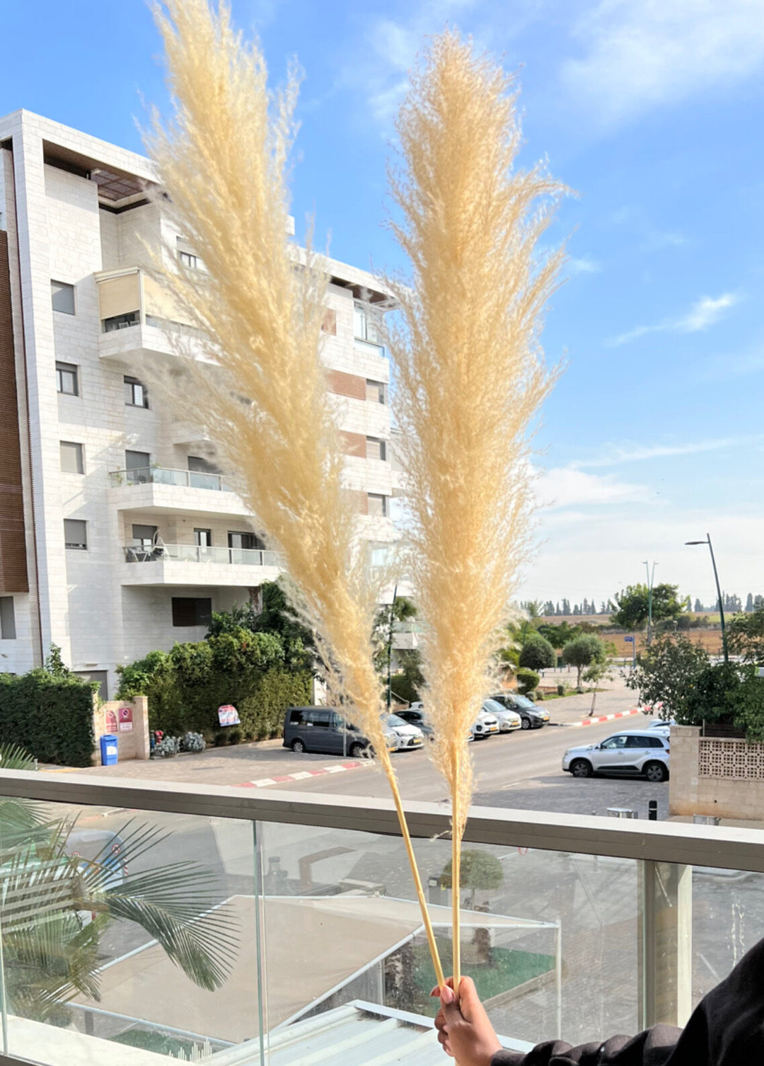 ענף פמפס מוקה גדול