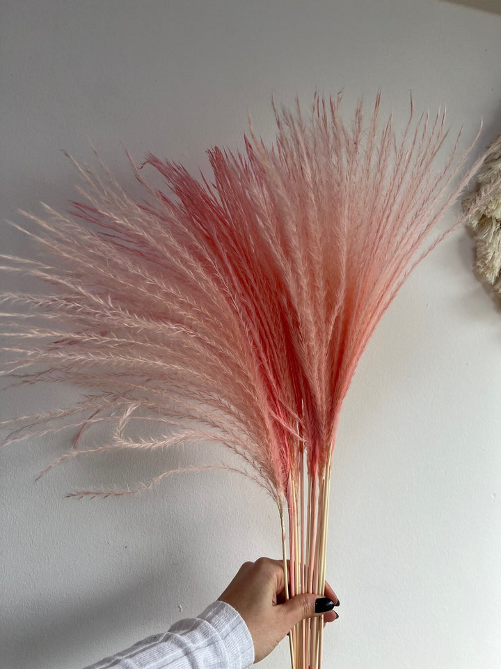 פסיכודלי ורוד