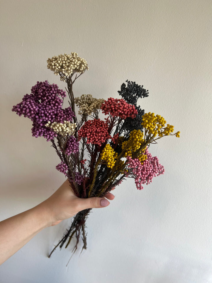 ענף אורז משומר - 3 צבעים