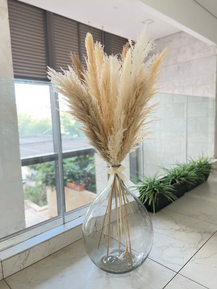 ואזת בלון XXL - 65 ס"מ
