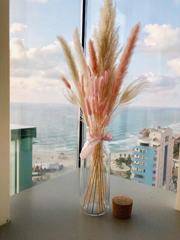 זר נסיכותי