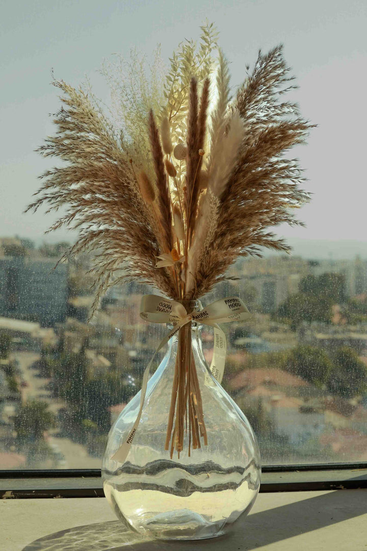 סט קיילי