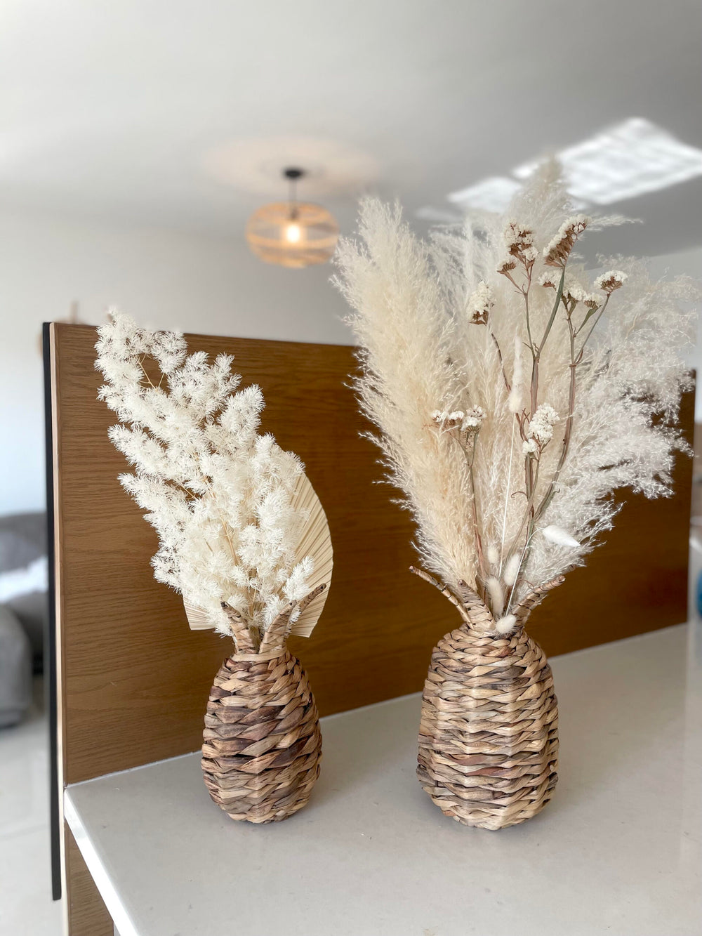 אננס במבוק - שני גדלים
